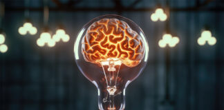 Comprehensive IP Management Solution