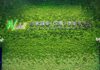Wintell-&-Co-absorbs-Guangdong-boutique-firm-L
