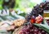 Johor Plantations Group’s IPO