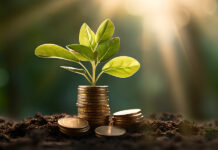 Indonesia’s global sukuk issue
