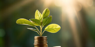 Indonesia’s global sukuk issue