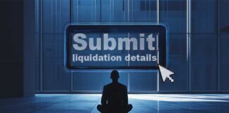 IBBI launches online portal for liquidation process