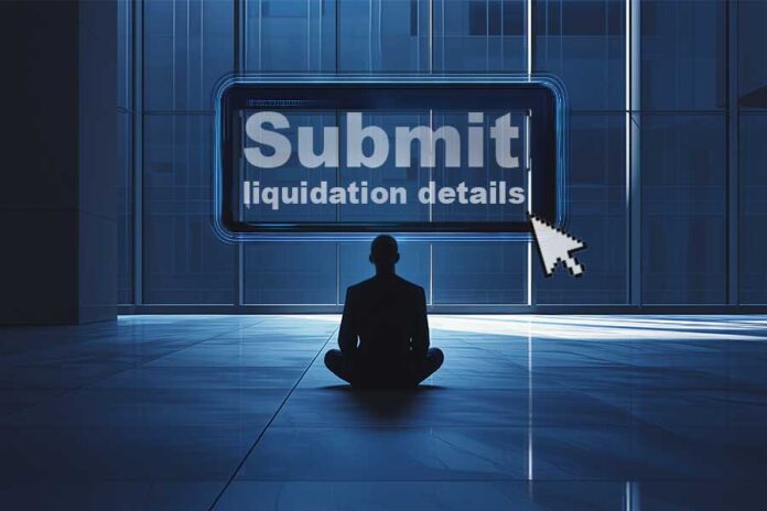 IBBI launches online portal for liquidation process