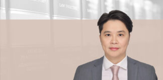 Shareholders as judgment debtors