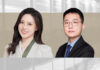 Company Law DSO Obligations