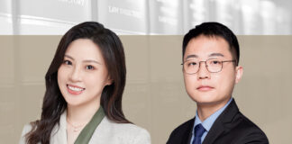 Company Law DSO Obligations