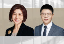 Chinese Investment in Brazil