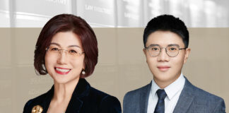 Chinese Investment in Brazil