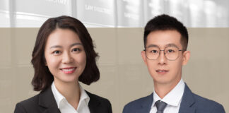 Labour Market Challenges and Legal Employment Adjustments