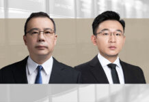 IST中的个人信息保护合规 Chinese Investment in Brazil