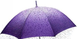 Insurance law in India and Japan