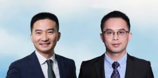 Chinese legal expert witnesses