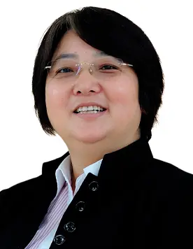 Catherine Wang, DSM China