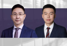 哈萨克斯坦可再生能源投资的主要模式