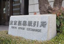 JX Advanced Metals IPO