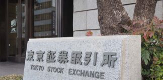 JX Advanced Metals IPO