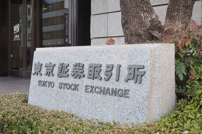 JX Advanced Metals IPO