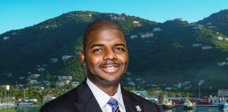 BVI Asia-Pacific Market Strategy
