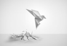 India’s-IP-metamorphosis-L