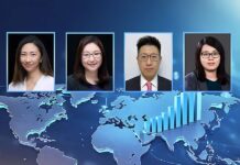 嘉源引入外资背景资本市场律师