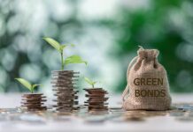 ESG debt securities framework