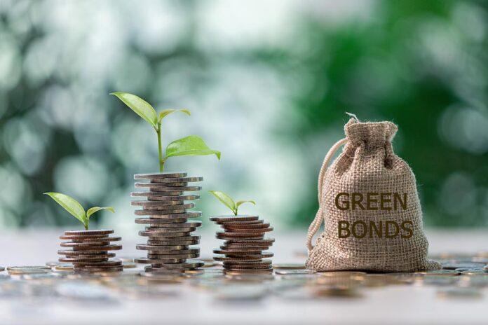 ESG debt securities framework