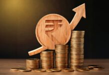 Japanese investment in India