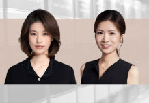 公司关联交易损害责任纠纷的审查重点