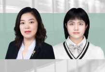 Foreign Investment in China’s Healthcare Sector