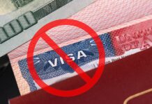 H1B visa fee order